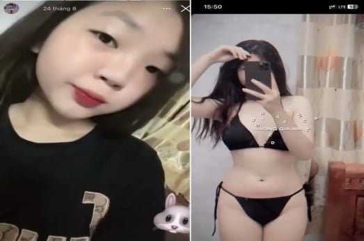 Thỏ lừa dối với con bướm nảy lửa