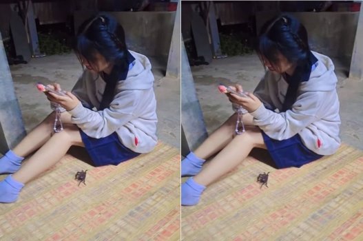 Đêm qua tớ ghé nhà bạn chủ yếu để nện nhau